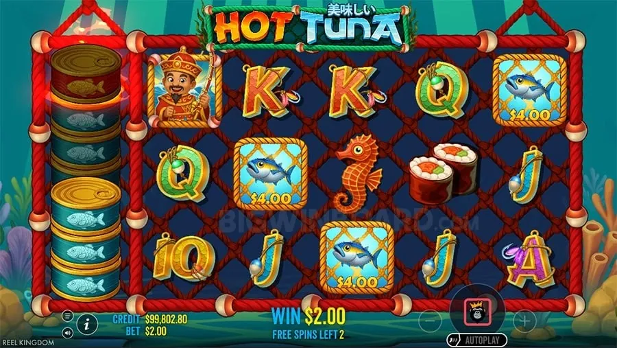 Dreamjili Live Betting Interface